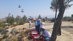 Denizli'de doğaya 600 keklik salındı