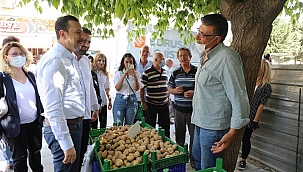 ‘Dönüşüm yok CHP eziyeti var’