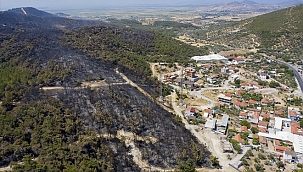 Foça'da çıkan orman yangını kontrol altına alındı