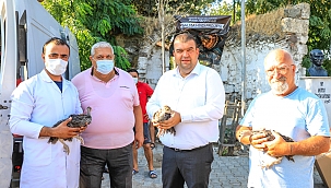 Hindi belediyeden üretip kazanmak çiftçiden