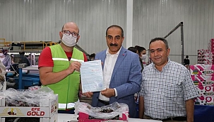Kemalpaşa'da kiraz ve yaş meyve sebze ihracatına destek