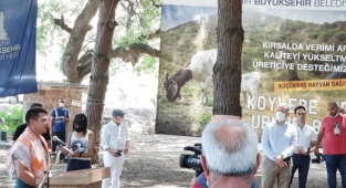 Küçük üreticiye can suyu oldu