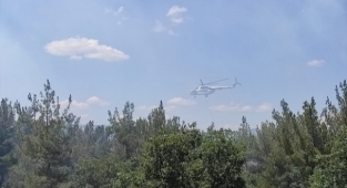Manisa'da orman yangını