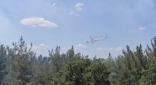 Manisa'da orman yangını