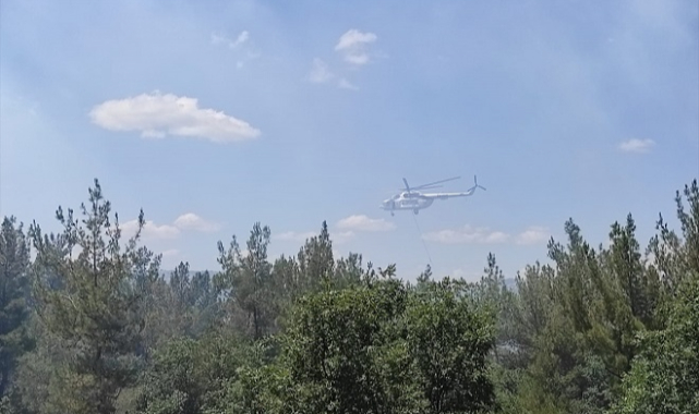 Manisa'da orman yangını