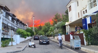 Marmaris ve Milas'ta ormanlık alanda yangın çıktı