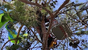 Paraşüt ağaca dolandı, pilot ve yolcu yaralandı