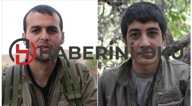 PKK'nın sözde sabotaj uzmanlarına operasyon