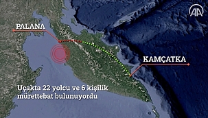 Rusya'da yolcu uçağı düştü