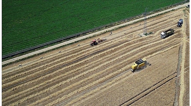 Tarımsal destek ödemeleri bugün başlıyor