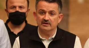 Türkiye felaketi yaşıyor! Bakan Pakdemirli son durumu açıkladı! 101 yangından...