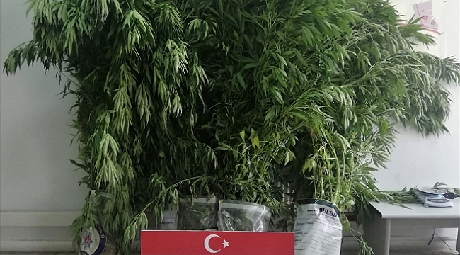 Uyuşturucu operasyonlarında 3 kişi yakalandı