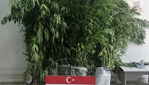 Uyuşturucu operasyonlarında 3 kişi yakalandı