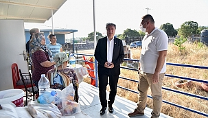 “Yanan alanı tekrar ağaçlandıracağız”