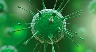 26 Ağustos korona tablosu açıklandı!