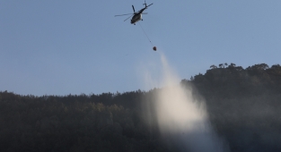 Aydın'daki orman yangınını söndürme çalışmaları sürüyor