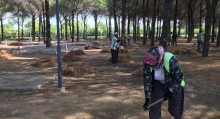 Ayvalık Belediyesi'nden Önlem