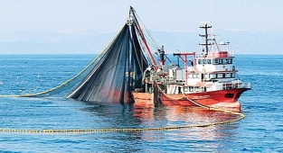 Balıkçılıkta av sezonu başlıyor