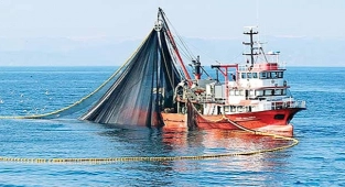 Balıkçılıkta av sezonu başlıyor