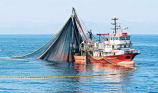 Balıkçılıkta av sezonu başlıyor