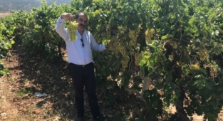 Çekirdeksiz Sultani Üzüm ihracat yolcusu