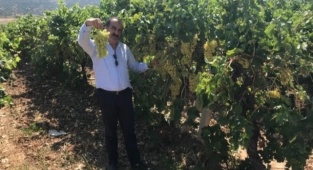 Çekirdeksiz Sultani Üzüm ihracat yolcusu