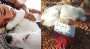 Ceyda Yüksel'in ölü bulunmasıyla ilgili dava devam ediyor