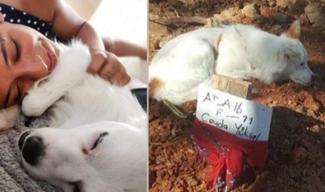 Ceyda Yüksel&#039;in ölü bulunmasıyla ilgili dava devam ediyor