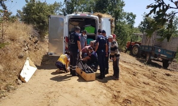 Göçük altında kalan 2 kişi hayatını kaybetti