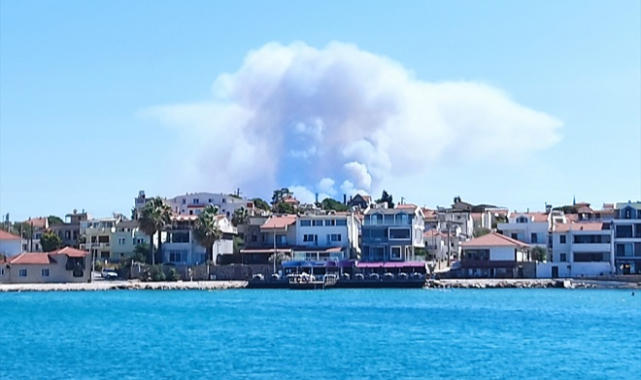 İzmir'de makilik alanda çıkan yangın kontrol altına alındı