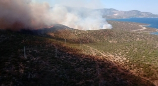 İzmir'de makilik alanda çıkan yangına müdahale ediliyor