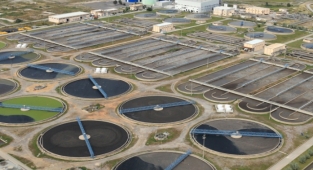 İzmir kokuyor ama neden?