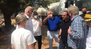 Kırkpınar, Bodrum’da Yangın Bölgesinde