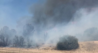 Manisa'da çıkan yangınlar söndürüldü