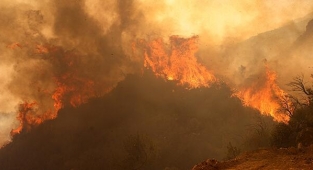 Muğla'daki yangınlarla ilgili 6 tutuklama
