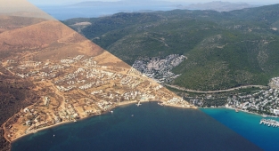Yanan orman alanları 3-5 yılda tamamen 'yeşil örtüye' dönüşecek