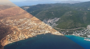 Yanan orman alanları 3-5 yılda tamamen 'yeşil örtüye' dönüşecek