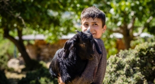 Yangına dirençli yeşil örtü için “orman seferberliği”