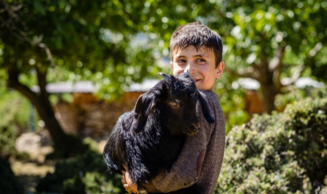 Yangına dirençli yeşil örtü için “orman seferberliği”