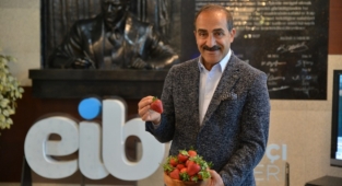 Yaş meyve sebze ihracatı rekor kırdı