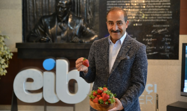 Yaş meyve sebze ihracatı rekor kırdı