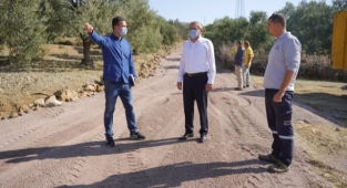 Zeytinliklerarası Yollarda Keyifli Hasat