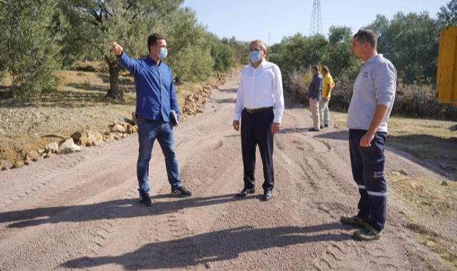 Zeytinliklerarası Yollarda Keyifli Hasat