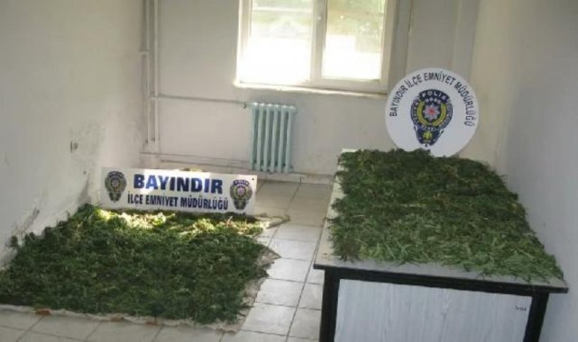 Bayındır'da 10 kilo Hint keneviri ele geçirildi; 1 gözaltı