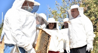 Bornova'da ilk bal sağımı yapıldı