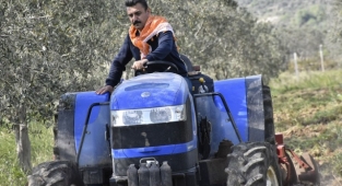 Dikili Belediyesi “Tarım Zirvesi”nde Yer Alacak