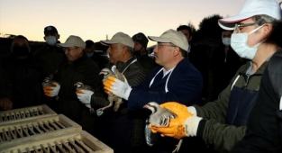 Frig Vadisi'ne doğal yaşamı desteklemek için hayvan salındı