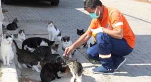 Gaziemir Belediyesi can dostların yaşam hakkına dikkat çekiyor