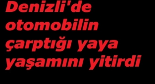 Denizli'de otomobilin çarptığı yaya yaşamını yitirdi