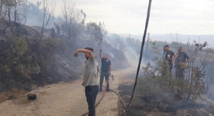 İzmir'de çıkan orman yangınları kontrol altına alındı